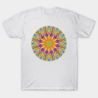 Rainbow Pattern II T-Shirt